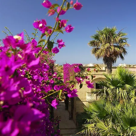 Tal Fanal Complex *