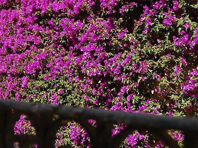 Tal Fanal Complex Appartement Għasri